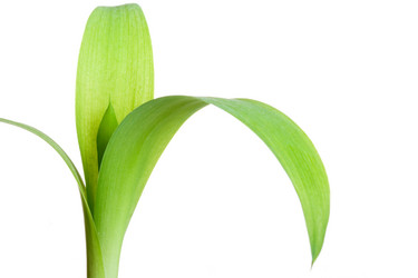 Similar image 728534