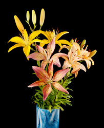 Similar image 728541