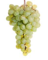 Similar image 728544