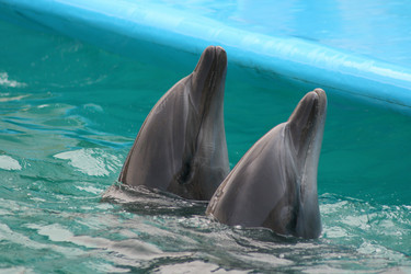 Similar image 728546