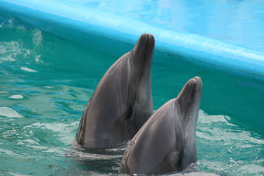 Similar image 728547