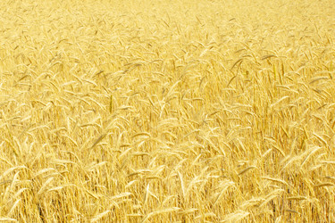 Similar image 728549