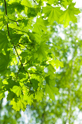 Similar image 728550