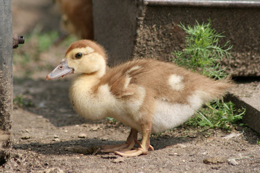 Similar image 728551