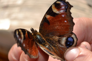 Similar image 728569