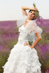 Similar image 728571