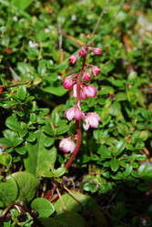 Similar image 728576