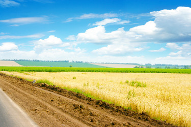 Similar image 728577