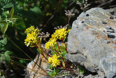 Similar image 728584