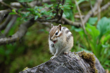 Similar image 728594