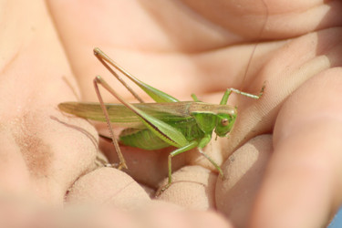 Similar image 728595