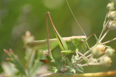 Similar image 728598