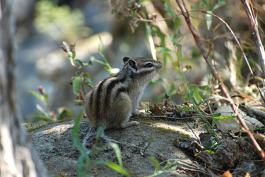 Similar image 728614