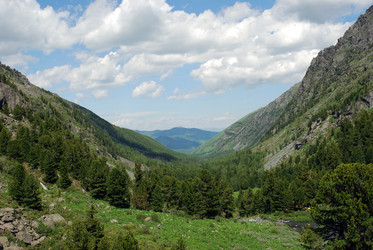 Similar image 728620