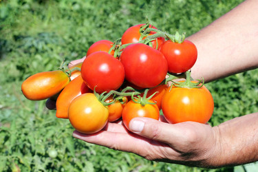 Similar image 728640