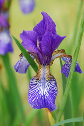 Similar image 728645