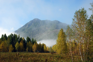 Similar image 728649