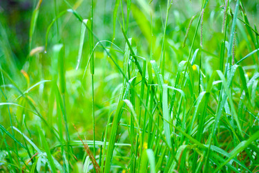 Similar image 728663