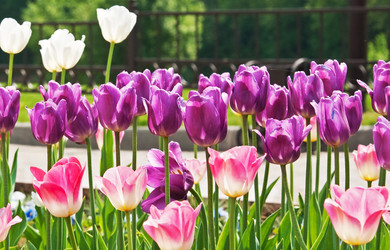 Similar image 728669