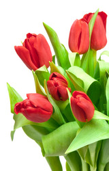 Similar image 728670