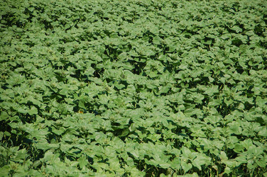 Similar image 728680