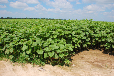 Similar image 728681