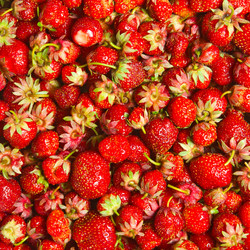 Similar image 728683