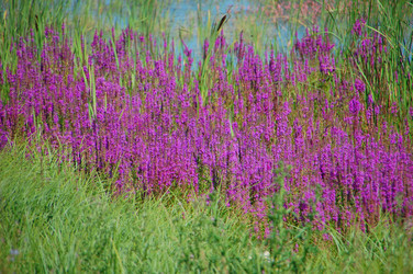 Similar image 728685