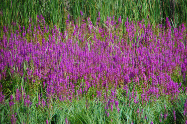 Similar image 728686