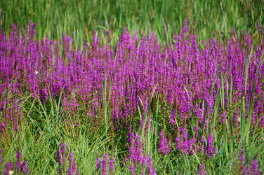 Similar image 728689