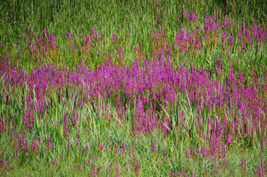 Similar image 728690