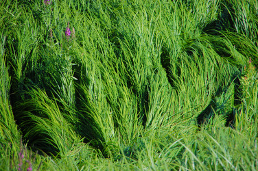 Similar image 728692