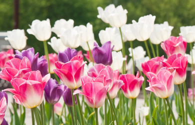 Similar image 728702