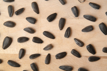 Similar image 728774