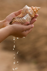 Similar image 728784