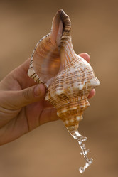 Similar image 728785