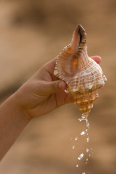 Similar image 728786