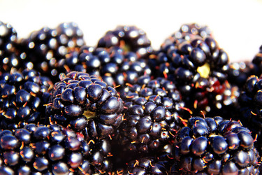 Similar image 728807