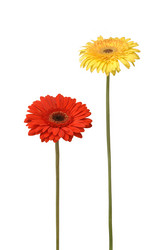 Similar image 728964