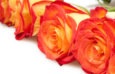 Similar image 728973