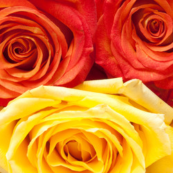 Similar image 728974