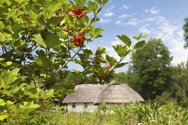 Similar image 729043