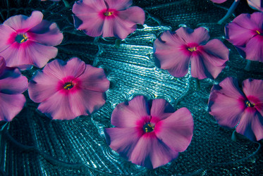 Similar image 729064