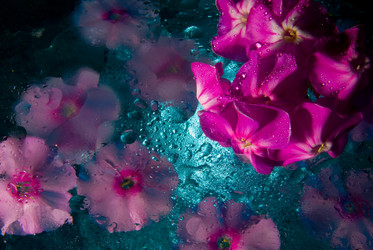 Similar image 729065