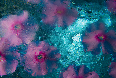 Similar image 729066