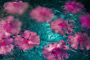 Similar image 729067