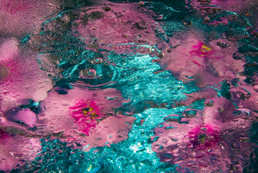 Similar image 729068