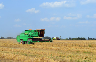 Similar image 729072