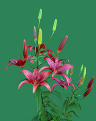 Similar image 729077