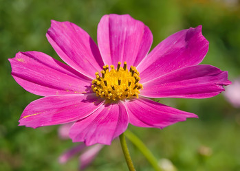 Similar image 729078